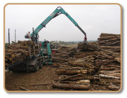 Achetez votre bois de chauffage en chne, charme et htre dans le rhne  Brignais (69530)