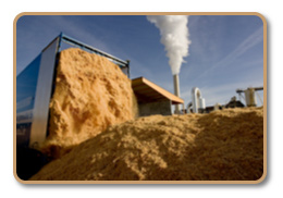 Sciure et copeaux pour la fabrication de granules de bois en auvergne